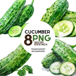 Watercolor Cucumber Clipart - 8 High-Resolution PNGs - Scrapbooking, Digital Journal, Printable Commercial Use, Digital download