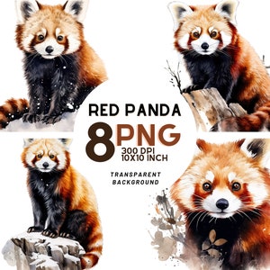 Clipart aquarelle panda roux : 8 fichiers PNG de haute qualité pour le scrapbooking, les journaux numériques, les produits imprimables et une utilisation commerciale - téléchargement numérique