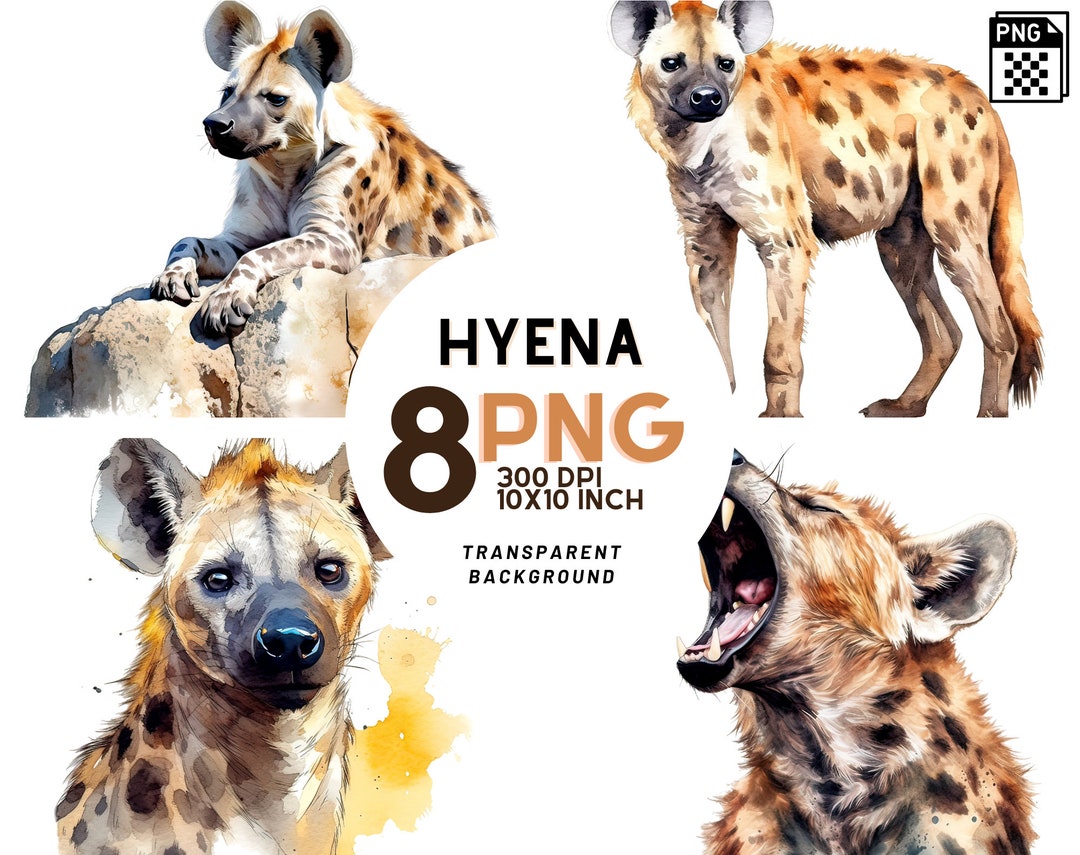 Watercolor Spotted Hyena Clipart: 8 High-quality Pngs 300DPI - Jungle ...