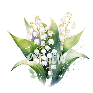 Ensemble aquarelle de muguet : 8 PNG 300 DPI de haute qualité, impression botanique, imprimable pour une utilisation commerciale, téléchargement numérique