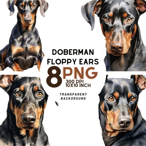 Watercolor Doberman Floppy Ears Clipart: High-Quality PNGs for Digital Journaling, Printables, and Commercial Use - Instant Digital Download