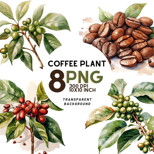 Watercolor Coffee Plant set: 8 High-Quality 300 DPI PNGs, Botanical Print, Printable with Commercial Use - Digital Download