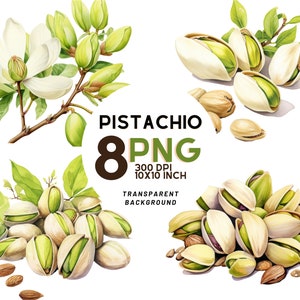 Clipart aquarelle pistache - 8 PNG haute résolution pour le scrapbooking, livres de recettes, imprimable pour un usage commercial, téléchargement numérique