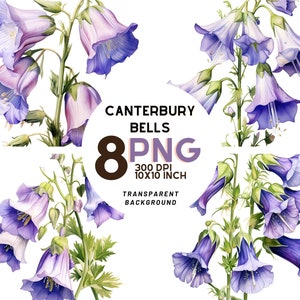 Canterbury Bells Clipart Set : 8 PNG de haute qualité pour les impressions botaniques, la journalisation numérique, les imprimables, l'utilisation commerciale