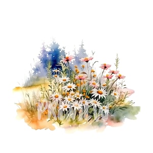 Ensemble de prairie de fleurs sauvages à l'aquarelle : 8 fichiers JPG 300 ppp de haute qualité, impression botanique, imprimable pour un usage commercial, téléchargement numérique