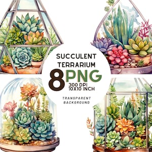 Conjunto de clipart de aquarela de terrário suculento - 8 PNGs de alta qualidade para impressões botânicas, diários digitais, scrapbooking, download digital