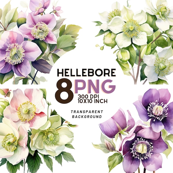 Watercolor Hellebore clipart: 8 High-Quality 300 DPI PNGs, Botanical Print, Bullet Journal, Printable with Commercial Use - Digital Download