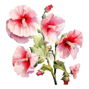 Watercolor Hollyhock Clipart: 8 Premium PNGs for Botanical Art Prints, Digital Journals, and Floral Designs - Instant Digital Download