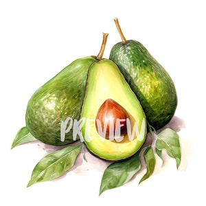 Aquarell Avocado Clipart - 8 hochauflösende PNGs für Scrapbooking, Digital Journal, druckbar mit kommerzieller Nutzung, digitaler Download