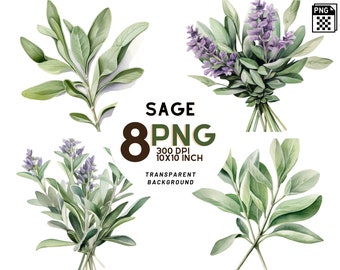 Watercolor Sage clipart set: 8 High-Quality 300 DPI PNGs, Botanical Print, Printable with Commercial Use - Digital Download