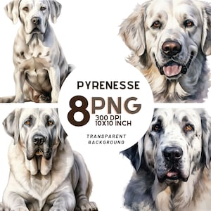 Aquarell große Pyrenesse-Clipart-Set: 300 dpi PNGs für Scrapbooking, digitale Journals, Drucksachen und kommerzielle Nutzung - digitaler Download