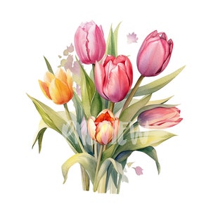 Aquarel tulp clipart: 8 hoogwaardige 300 dpi png-bestanden, botanische print, digitaal dagboek, afdrukbaar voor commercieel gebruik