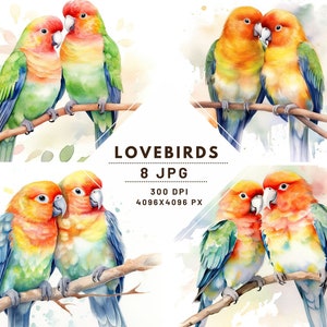 Acquerello Love birds Clipart Set, 8 JPG di alta qualità, ideale per Scrapbooking, riviste digitali e progetti stampabili - Download digitale.