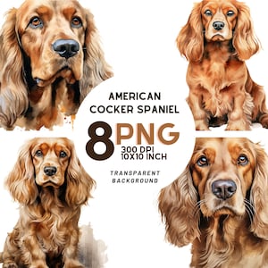 Aquarel Amerikaanse Cocker Spaniel Clipart: 8 kwaliteit PNG's voor scrapbooking en afdrukken, commercieel gebruik beschikbaar