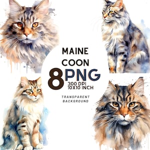 Clipart de aquarela Maine Coon, 8 PNGs de qualidade, scrapbooking, diário digital, para impressão com uso comercial, download digital
