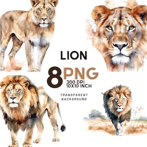 Clipart Lion aquarelle : 8 PNG de haute qualité 300 DPI - animaux sauvages - usage commercial, téléchargement numérique instantané