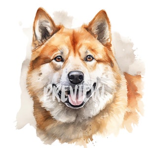 Akita Inu Watercolor Clipart: 8 Adorable PNGs for Scrapbooking, Stickers, Digital Journals and Printables - Instant Digital Download