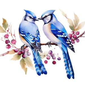 Blauhäher Aquarell Clipart: 8 hochwertige PNGs für von der Natur inspirierte Designs, digitales Journaling und zum Ausdrucken