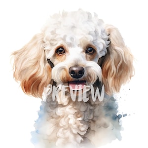 Prachtige aquarel witte poedel clipartset: perfect voor digitale tijdschriften en printables