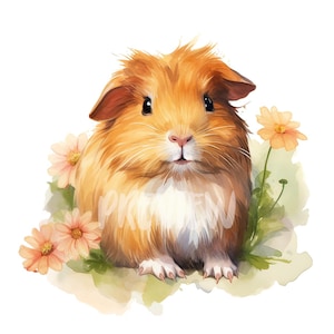 Watercolor Guinea Pig set: 8 High-Quality 300 DPI PNG for Scrapbooking, Digital Journals, Printables and Commercial Use - Digital Download