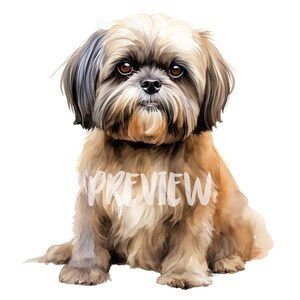 Aquarel shih-tzu-clipart-8 hoogwaardige png-bestanden voor scrapbooking en printables, met commercieel gebruik, digitale download