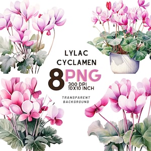 Ensemble de cliparts aquarelle cyclamen lilas : 8 PNG 300 DPI de haute qualité, impression botanique, imprimable pour un usage commercial, téléchargement numérique