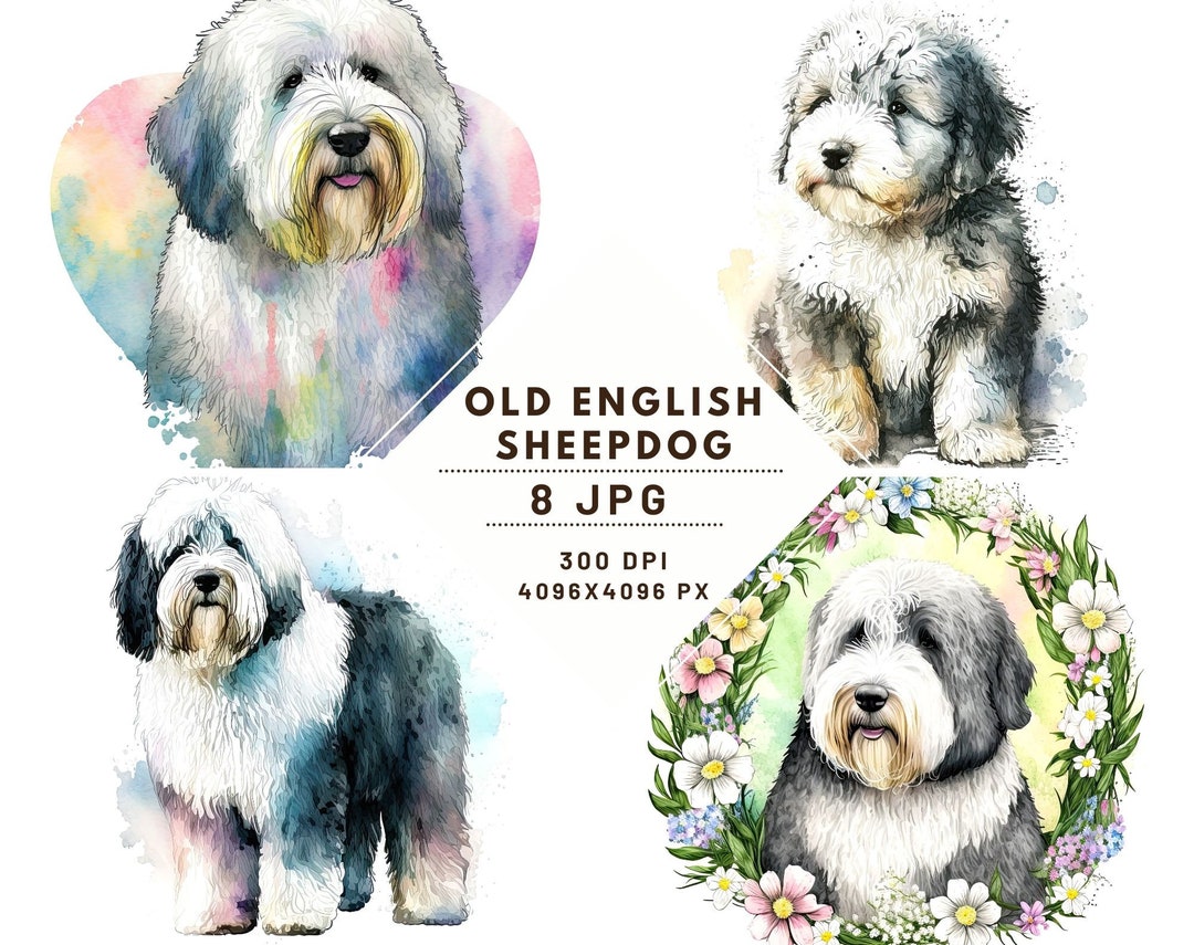 Old English Sheepdog Dog Birthday Edible 2D Fondant Birthday 