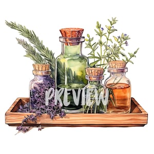 Watercolor Botanical Herbs and Bottles Clipart: 8 High Quality 300 DPI - Ideal for scrapbooking, digital journal - Instant Digital Download