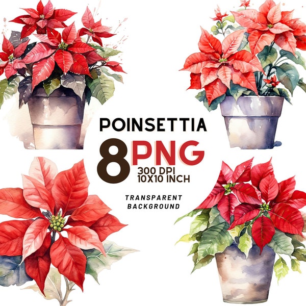 Botanical Poinsettia Watercolor Clipart: 8 High-Quality PNGs- Digital Journals and Printables with Commercial Use - Instant Digital Download