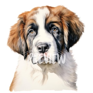Watercolor Saint Bernard Dog Set: 300DPI PNGs for Scrapbooking, Digital Journals, Printables, and Commercial Use - Digital Download