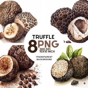 Clipart botanique de truffes : 8 PNG de haute qualité, impression botanique, journal numérique, usage commercial, téléchargement numérique instantané