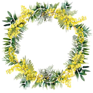 Set di ghirlande di mimosa ad acquerello: 8 PNG di alta qualità a 300 DPI, stampa botanica, stampabili per uso commerciale, download digitale