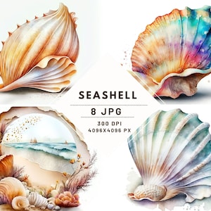 Clipart de concha de mar de acuarela: 8 JPG de 300 DPI de alta calidad para Scrapbooking, diarios digitales, imprimibles - uso comercial - descarga digital