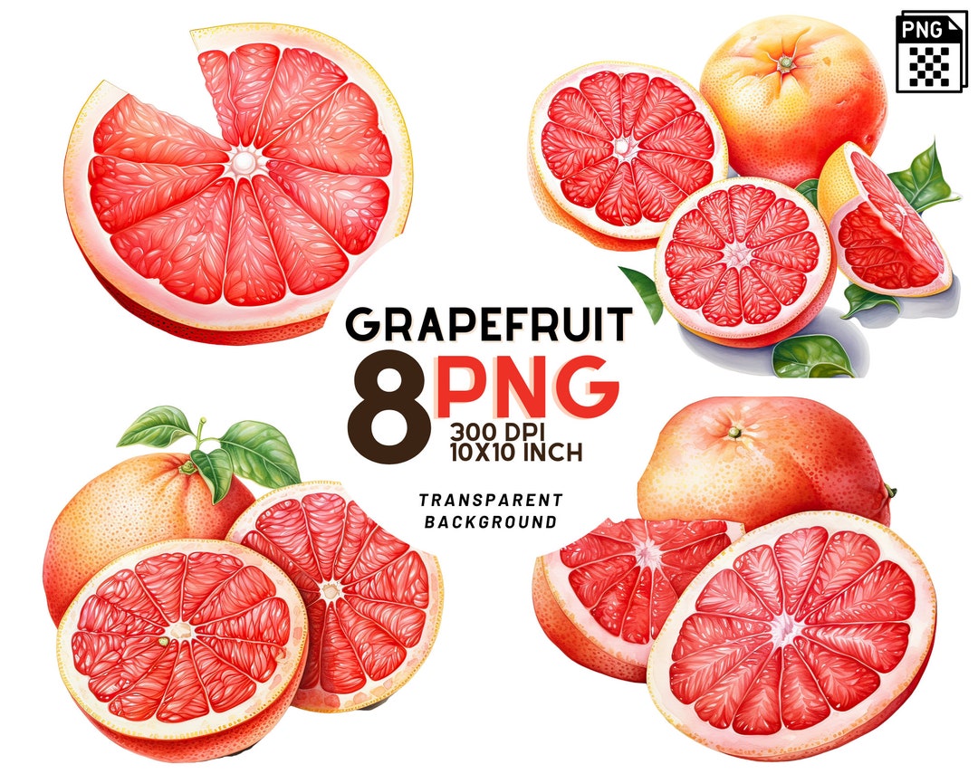 Watercolor Grapefruit Clipart - 8 High-resolution Pngs for Scrapbooking ...