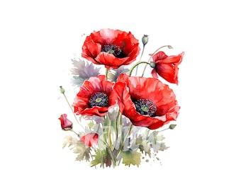 Watercolor Red Poppy Clipart - 8 Quality PNGs 300 DPI
