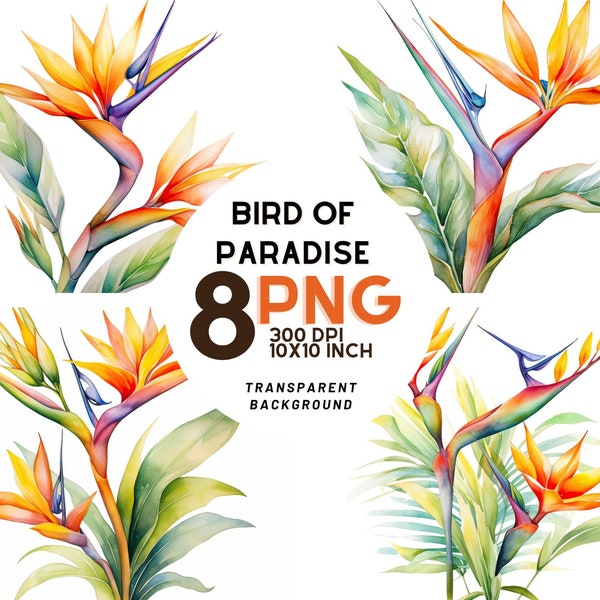 Watercolor Bird of Paradise Clipart: 8 quality PNGs,  300 DPI - Ideal for Digital Journal, Printable with Commercial Use, Digital download