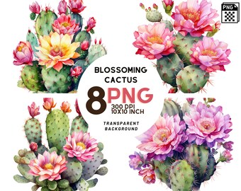 Blossoming Cactus Watercolor Clipart Set - 8 High-Quality PNGs for Botanical Prints, Digital Journals, Scrapbooking, Digital Download