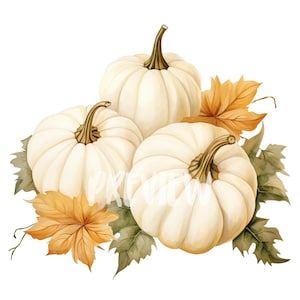 Watercolor White Pumpkin Clipart - 8 High-Resolution PNGs 300 DPI, Digital Journal, Printable with Commercial Use, Digital download