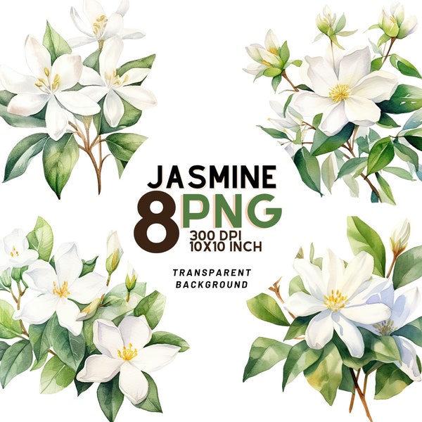 Watercolor Jasmine Flowers clipart set: 8 High-Quality 300 DPI PNGs, Botanical Print, Printable with Commercial Use - Digital Download