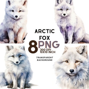 Arctic Fox Aquarelle Clipart Set : 8 PNG 300 DPI - Idéal pour mur d'art, décor de pépinière, scrapbooking - Utilisation commerciale - Téléchargement instantané