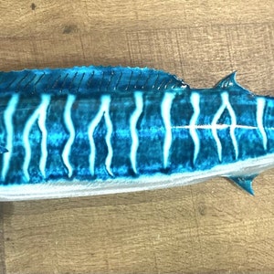 Wahoo