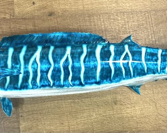 Wahoo