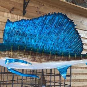 Sailfish
