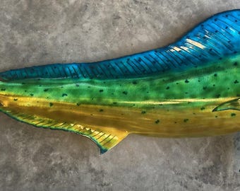 Dolphin Fish Mahi Mahi