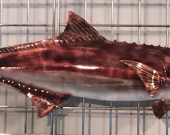 Cobia