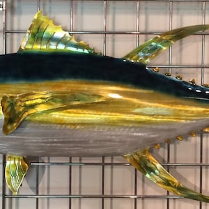 Yellowfin Tuna