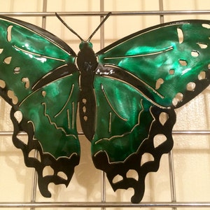 Butterfly D4