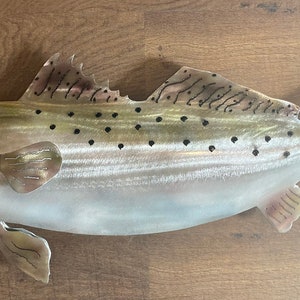 Speckled Trout