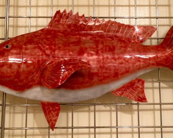 Red Snapper