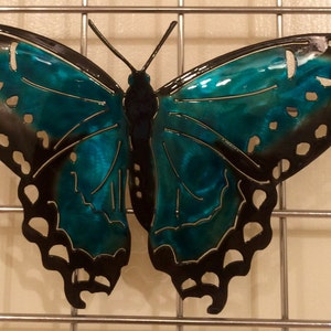 Butterfly D3